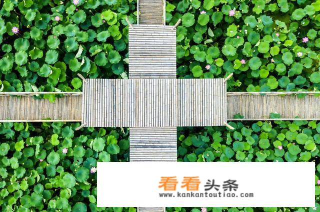 拍风景用什么相机软件好？