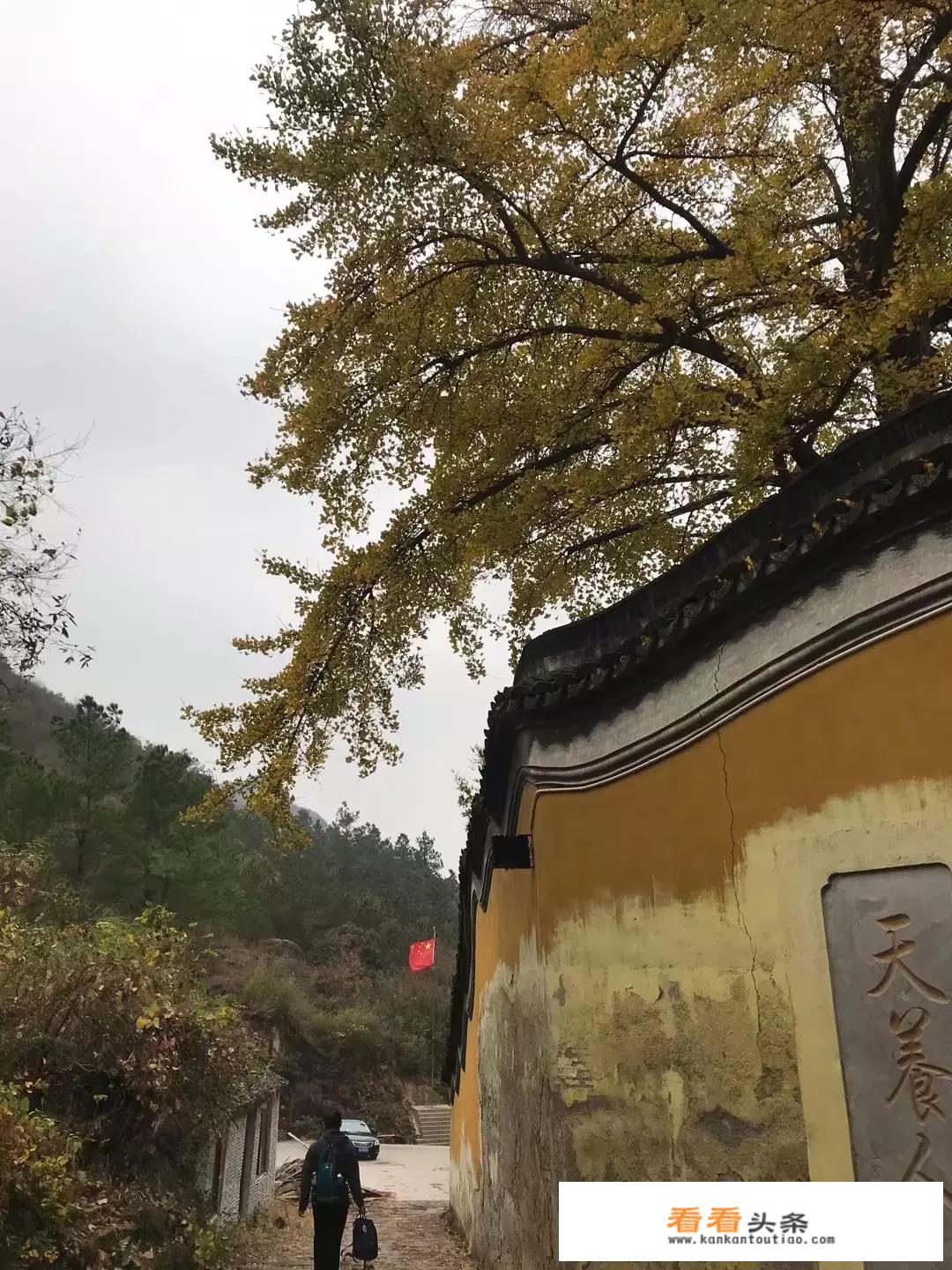 旅游收入是怎么统计的？
