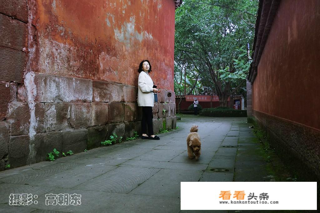 流水古镇旅游攻略？