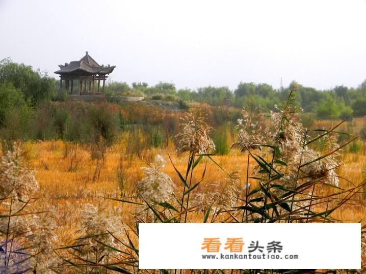 长春万象城有自助么？