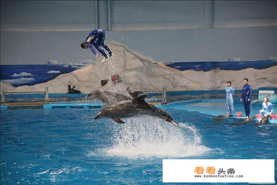青岛适合孩子玩的地方？