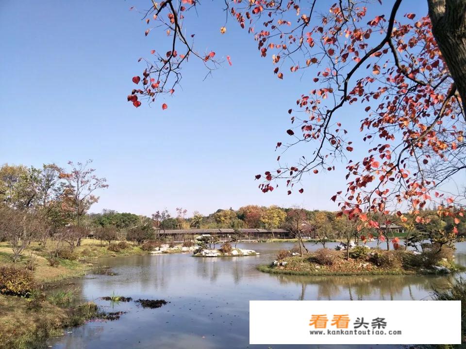 冬天去扬州旅游值得吗？