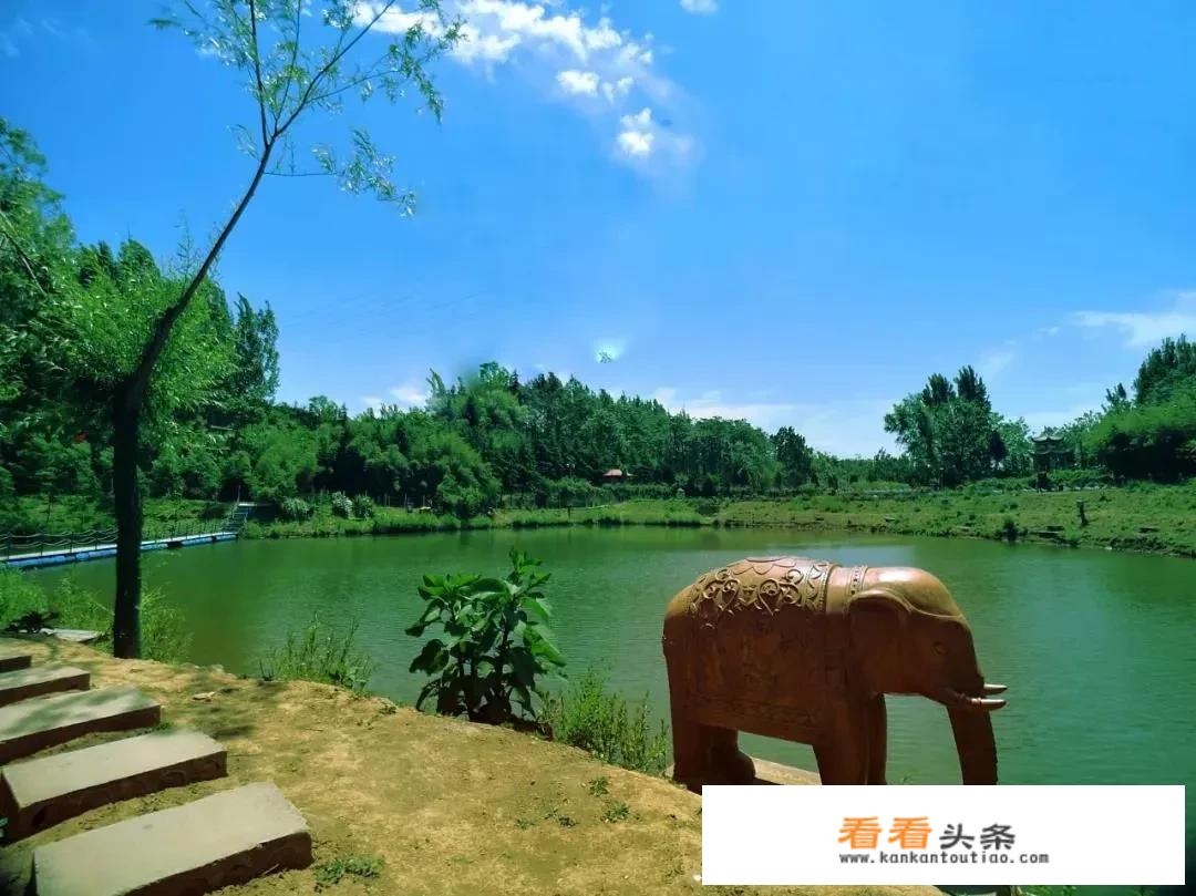 洛阳旅游年票有哪些景点免门票？