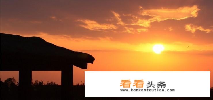 上海崇明岛旅游更佳线路？
