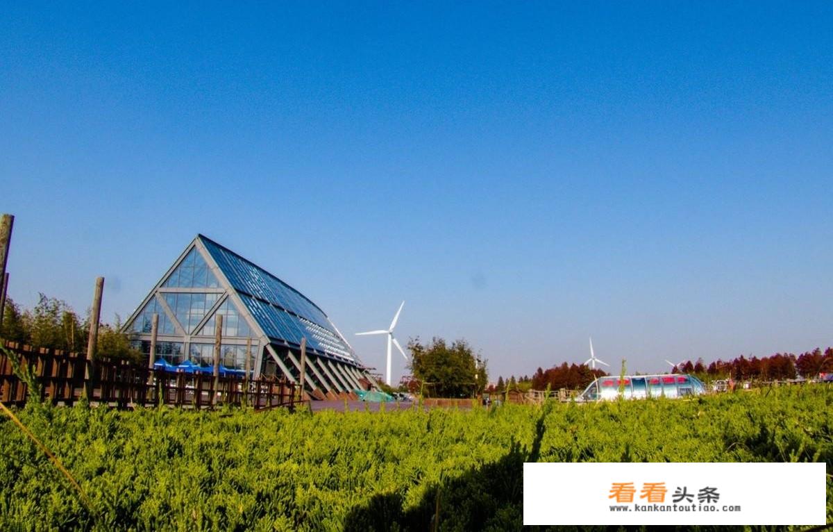 上海崇明岛旅游更佳线路？