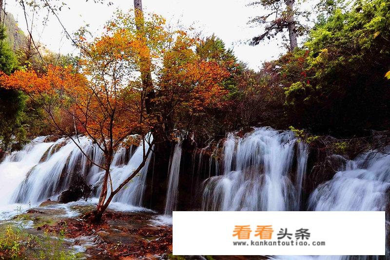 在旅游接待中，对日本客人应注意哪些风俗习惯？