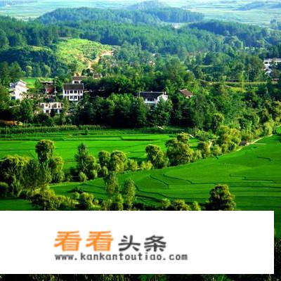 乡村旅游营销方案线下？