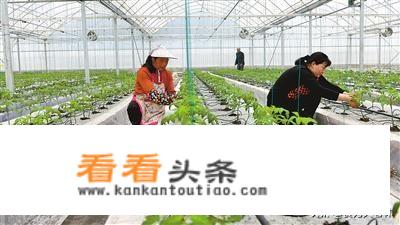 设施农业与装备是干啥的？