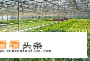 设施农业与装备是干啥的？