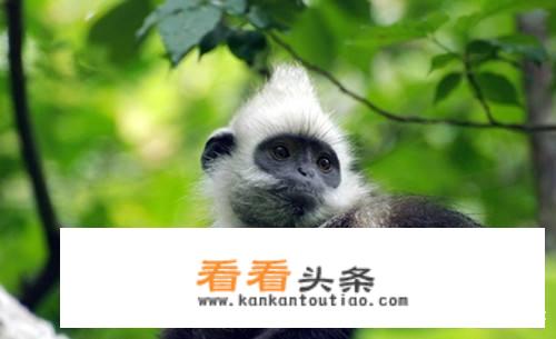 崇左市发展旅游业的意义？
