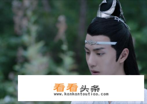 陈情令中有蓝湛帮魏婴抵挡攻击白天的还有魏婴失控嘴里说着滚，蓝湛带回了高烧的温苑，蓝湛33戒鞭，哪集？