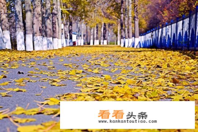 安徽周边秋天适合旅游的地方？