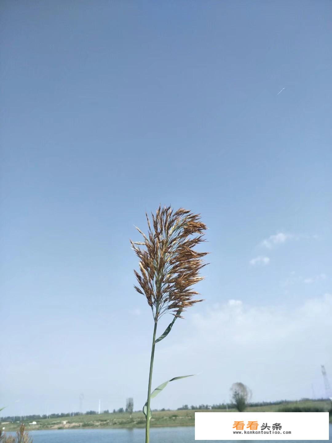 如果遇到邻居搞直播，每天唱歌搞到十一二点，怎么交涉比较好？