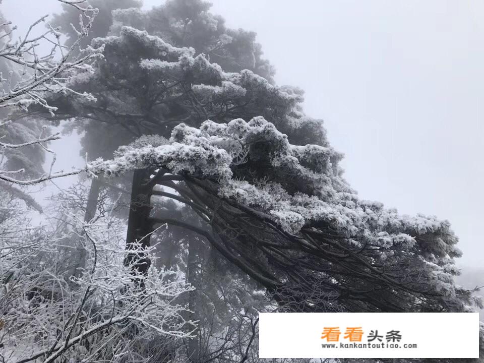 过年出去旅游是不是比平时贵些？