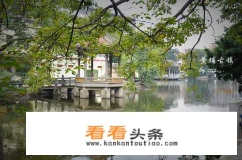 广东周末带孩子去哪玩？
