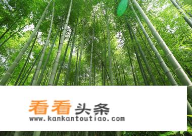 常州旅游必去的景点？