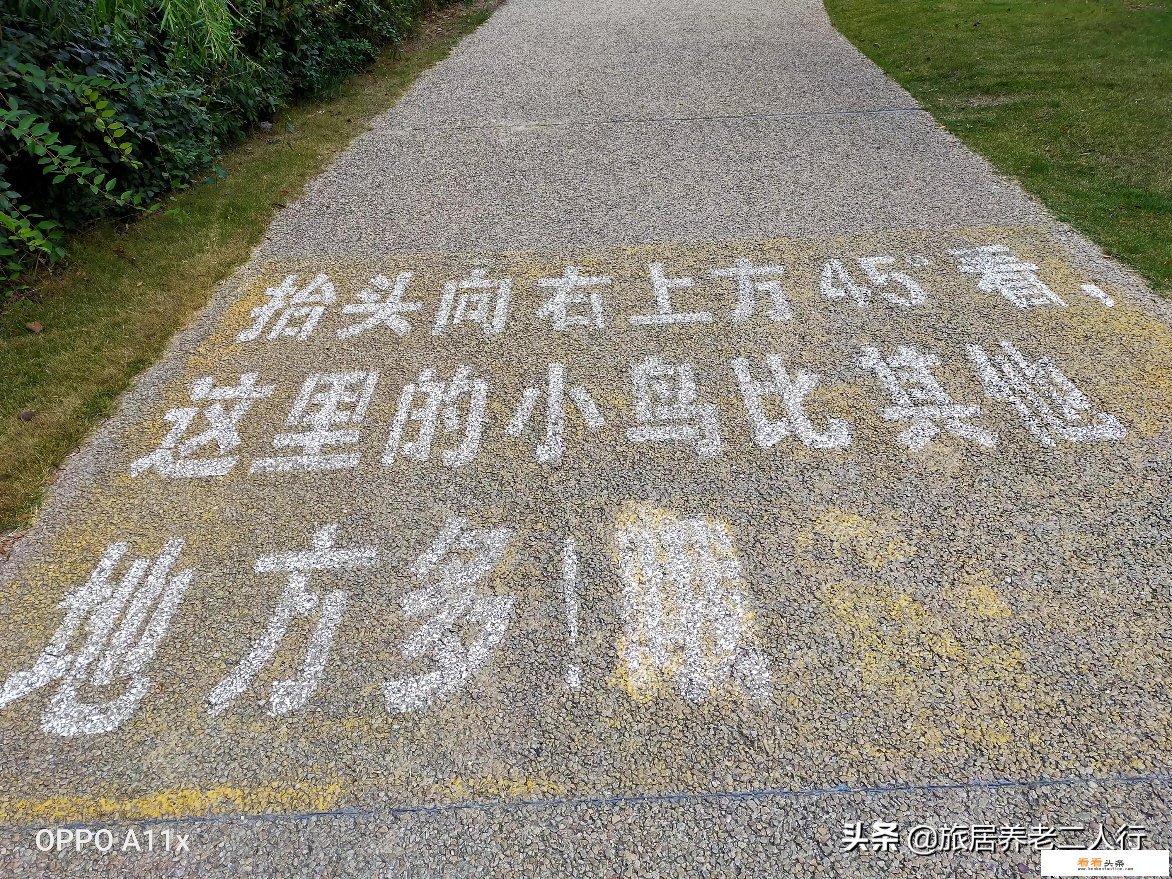 徒步旅行带什么水杯？
