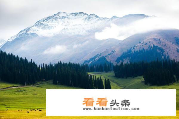 我在9月1日到10日要去新疆旅游，请问要带些什么衣服？
