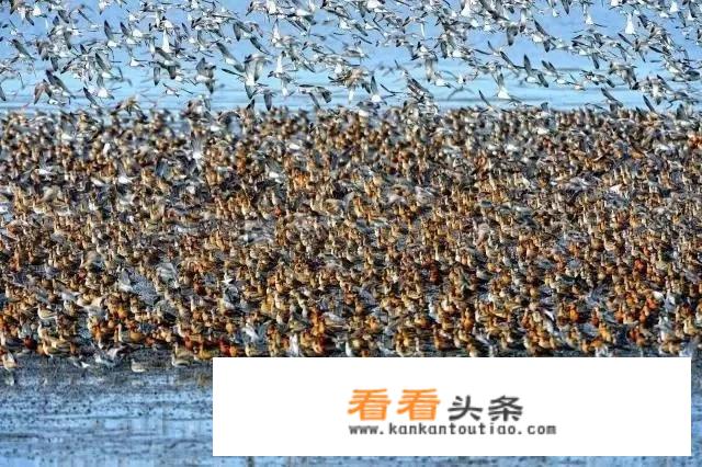 日照开发区和山海天旅游度假区、石臼与东港区什么关系？