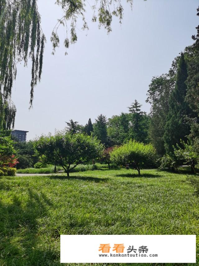 西北地区节日？