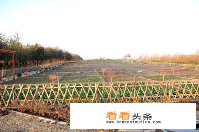 现实版开心农场经营要点是什么？