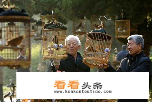 上海老外街的繁华夜市？