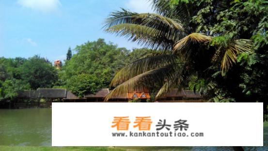 什么时候是西双版纳的旅游旅游旺季？