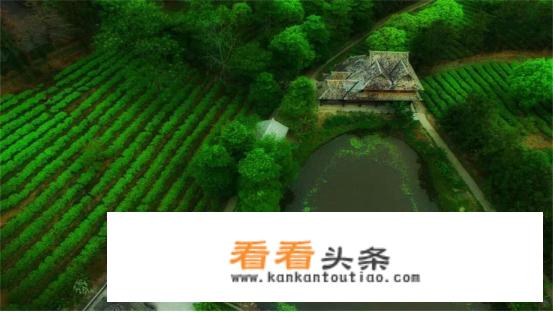 什么时候是西双版纳的旅游旅游旺季？