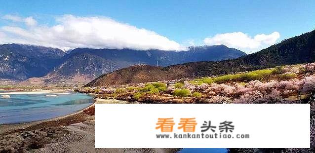 计划2019年去金川看梨花以及去林芝看桃花，11到12天的自驾路线应该如何安排？