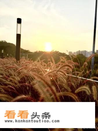 游玩照片怎么发朋友圈？