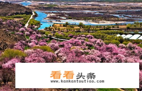  *** 珠峰深度？