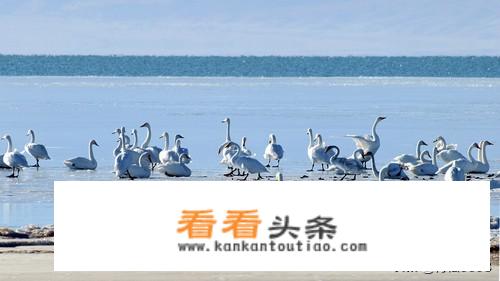 冬天青海必去景点排名？