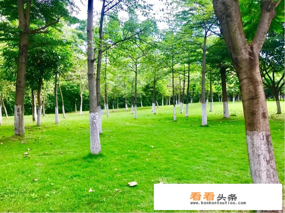 去哪儿旅行私人订制收费吗？