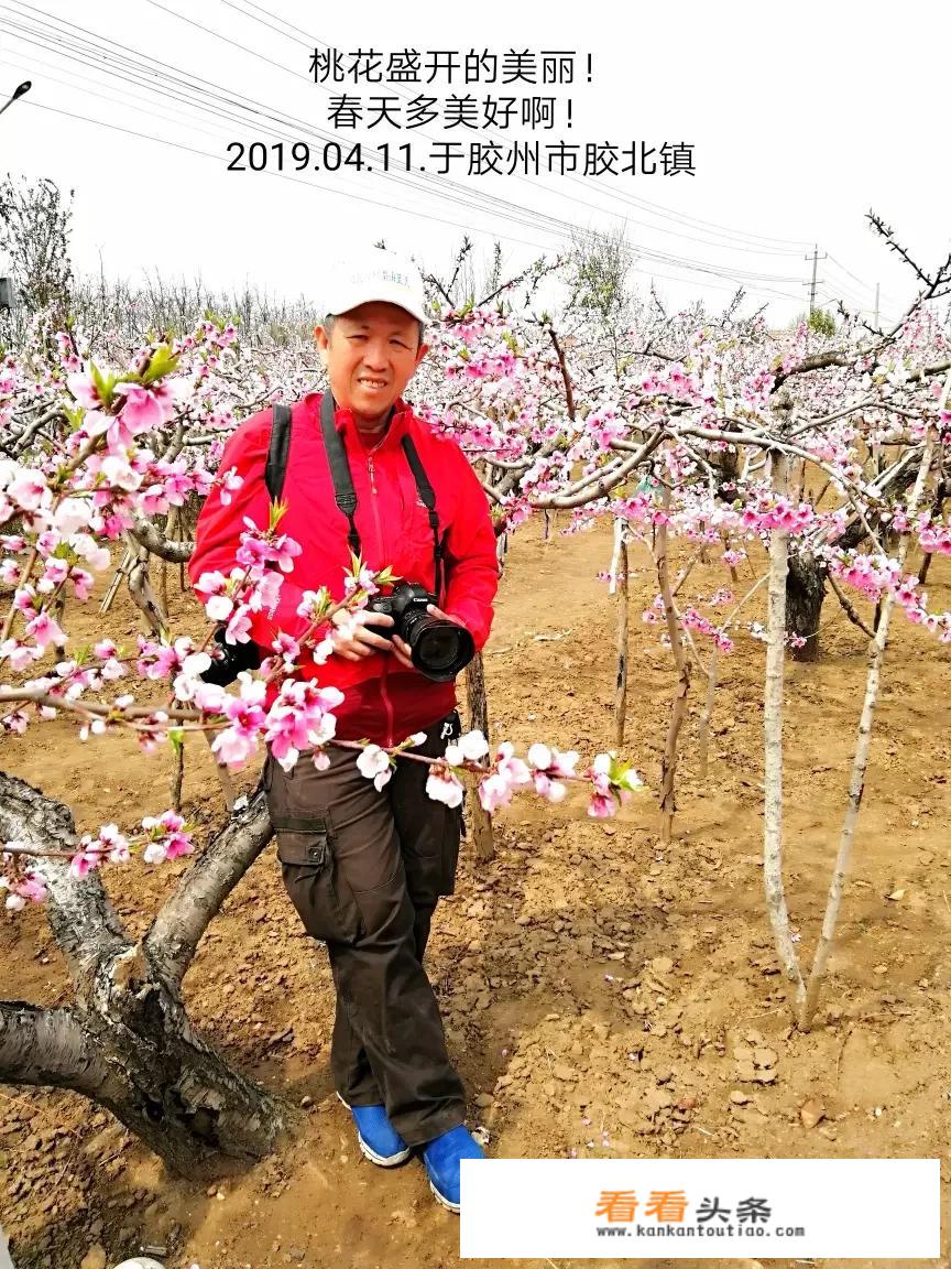 享乐旅行的概念？所谓享乐旅行是指？