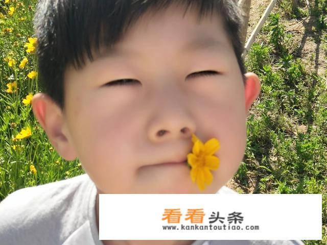妈妈带着一个七八岁的孩子，去哪些地方旅游便宜又长见识？