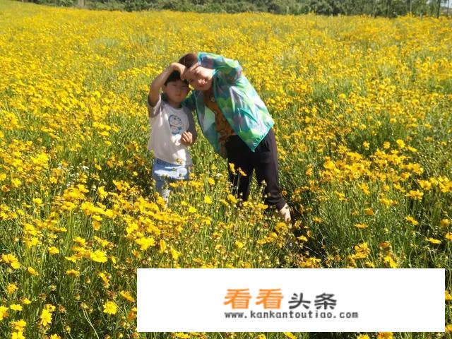 妈妈带着一个七八岁的孩子，去哪些地方旅游便宜又长见识？