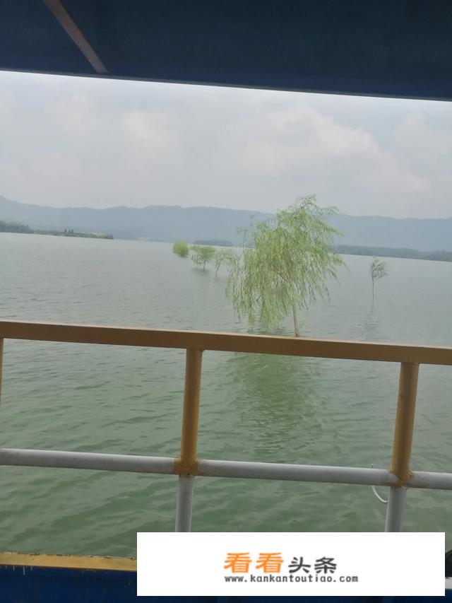 出国旅游必须跟团吗？