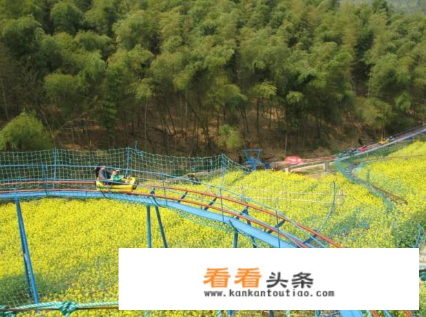 区域旅游规划中如何进行旅游产品设计？