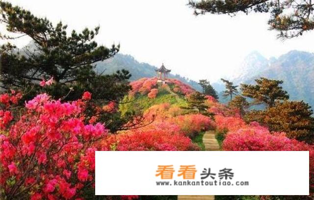 区域旅游规划中如何进行旅游产品设计？