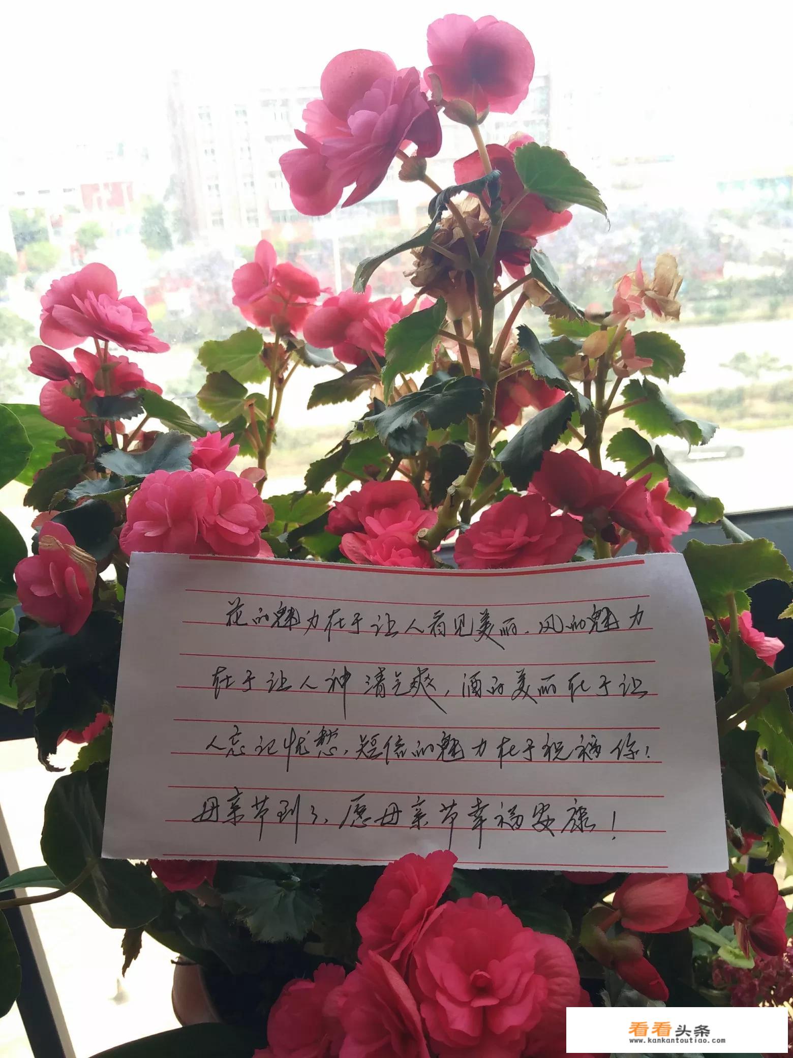 世界十大旅游城市的排行榜？