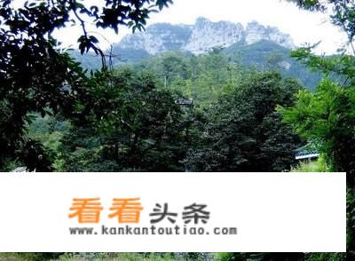 青州泰和矿业有限公司怎么样？
