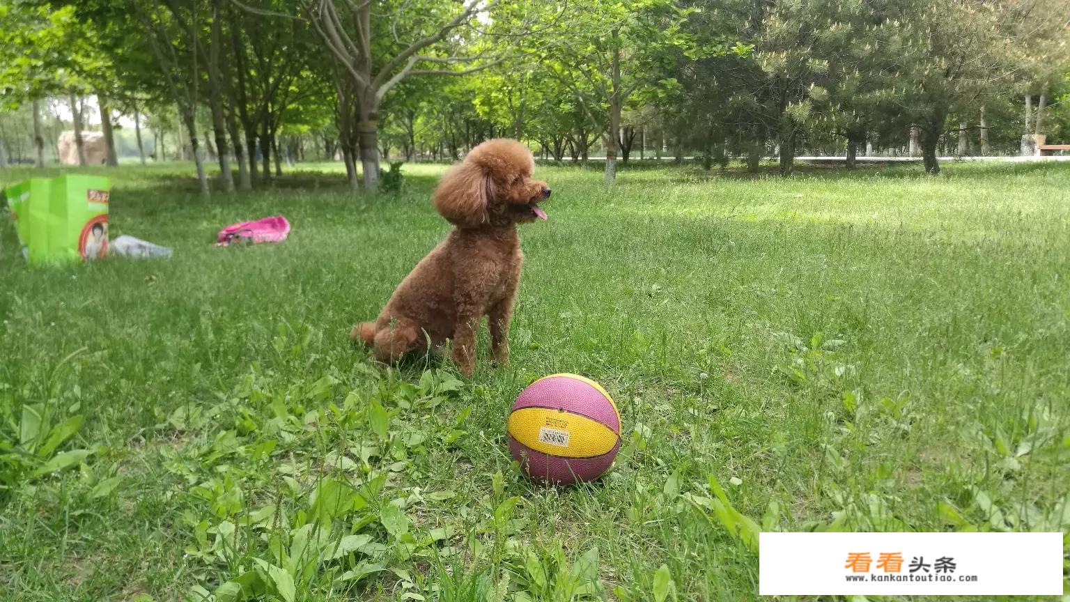 长白山旅游什么时候最贵？