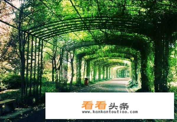 无锡周末好去处？