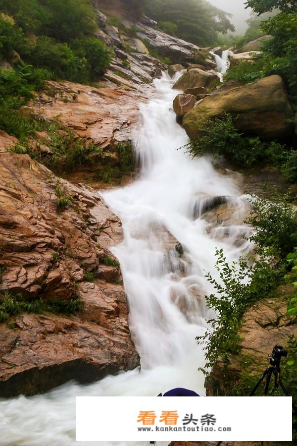 有没有适合暑假带孩子一起去的亲子旅行，更好是在林区或山区？