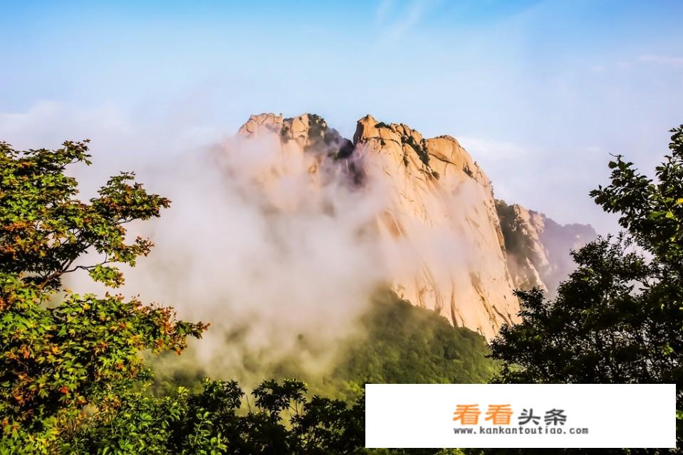 有没有适合暑假带孩子一起去的亲子旅行，更好是在林区或山区？