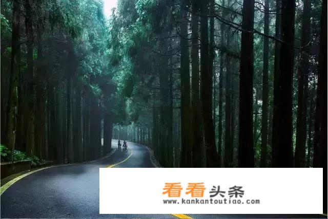 打鼓岭旅游攻略？