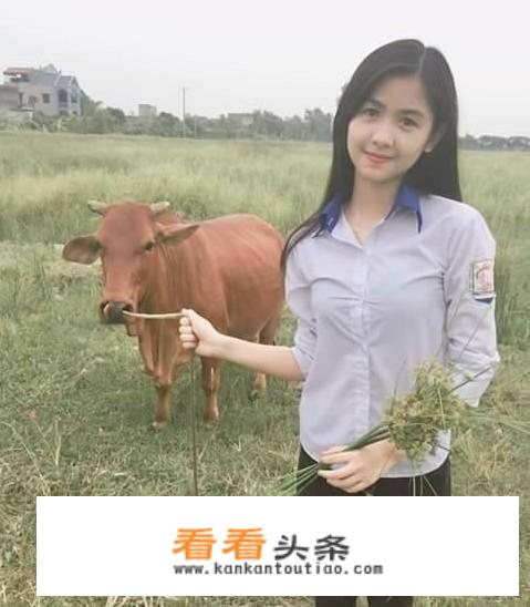 景德镇御窑厂观后感？