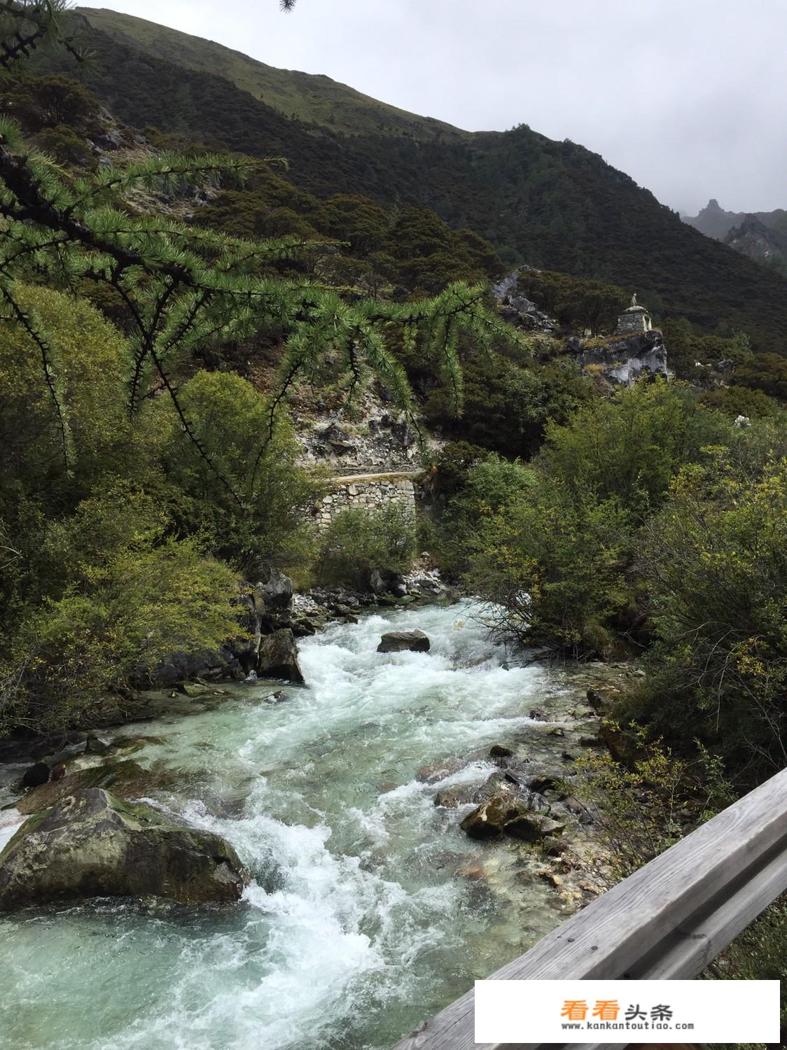 森林旅游如何突围求变？