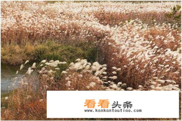 秋天去杭州旅游到哪里好？