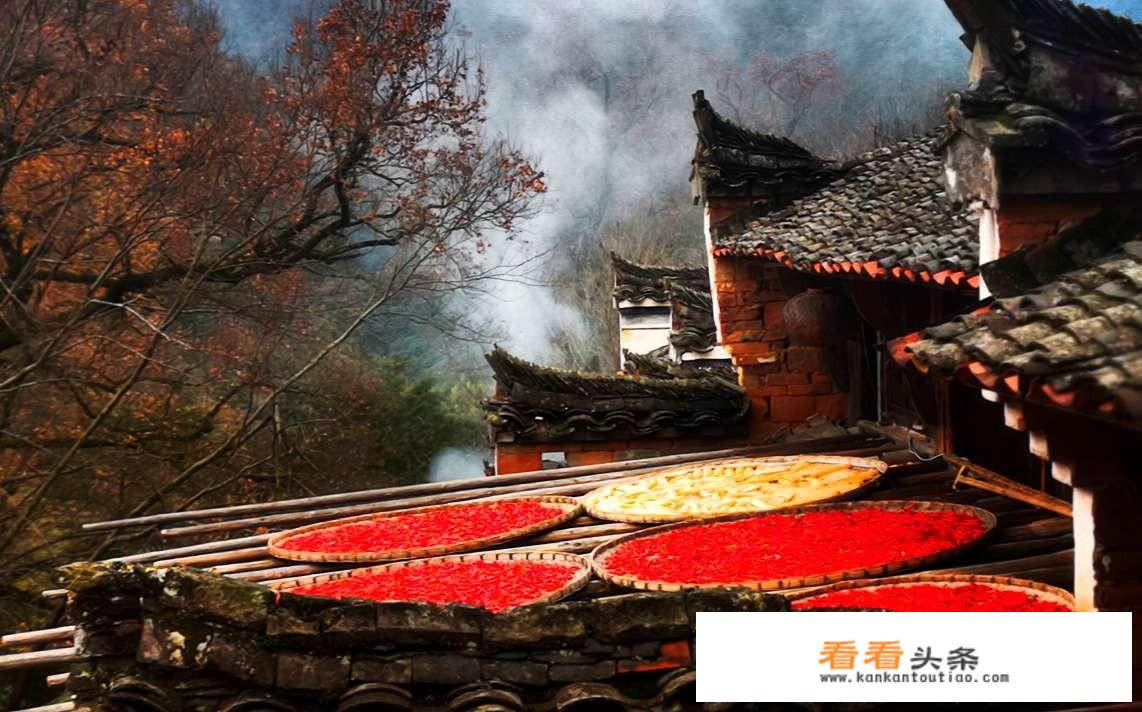 荆州熊猫乐园旅游攻略？